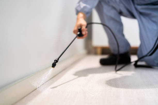 Certified termite inspector examining foundation in Wakefield