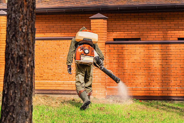 Top rated local Mosquito Control specialists in Wakefield, VA